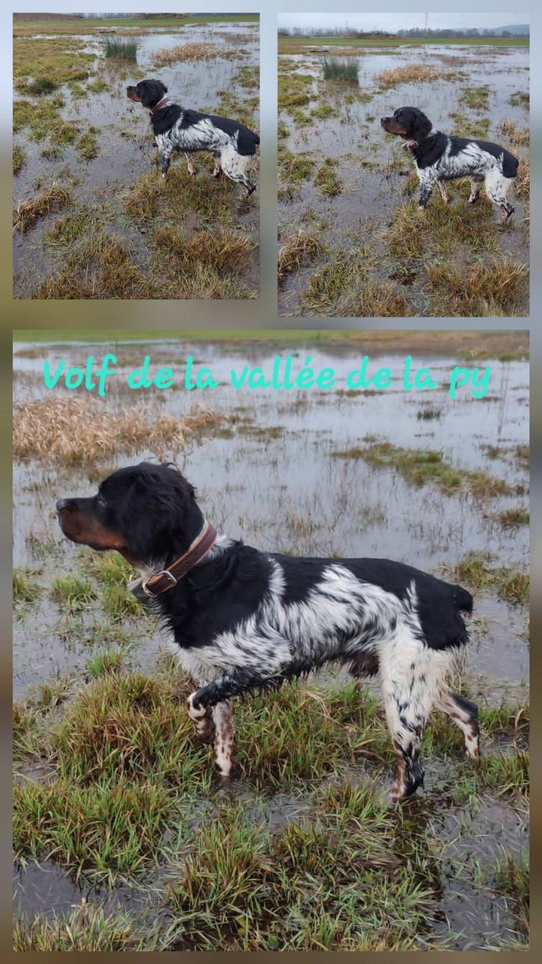 De La Vallée De La Py - Reçu des photos pour la bonne année merci