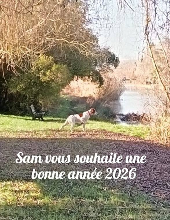 De La Vallée De La Py - Reçu des photos pour la bonne année merci