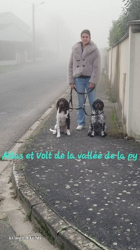 De La Vallée De La Py - Reçu des photos pour la bonne année merci