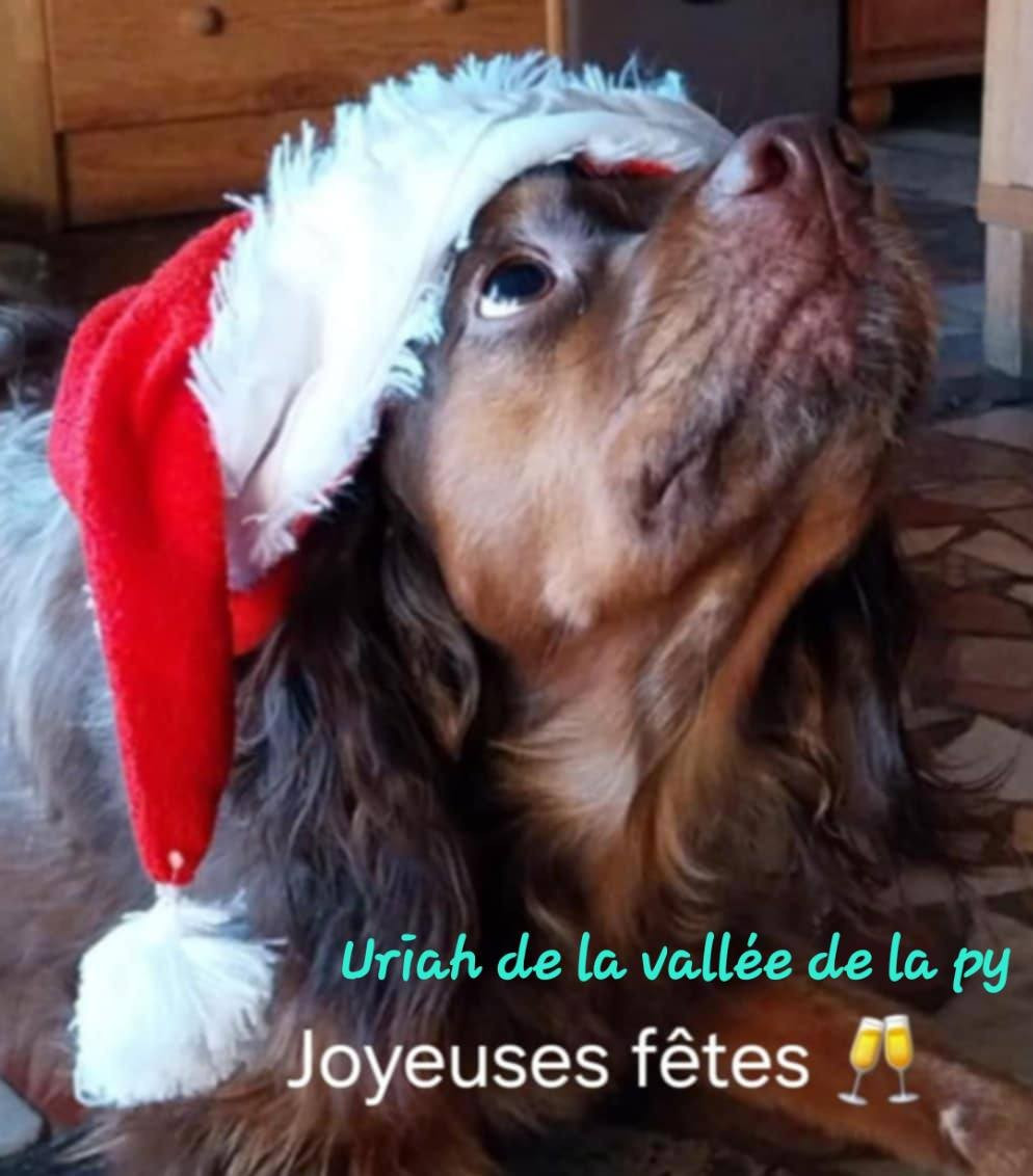 De La Vallée De La Py - Reçu des photos pour la bonne année merci