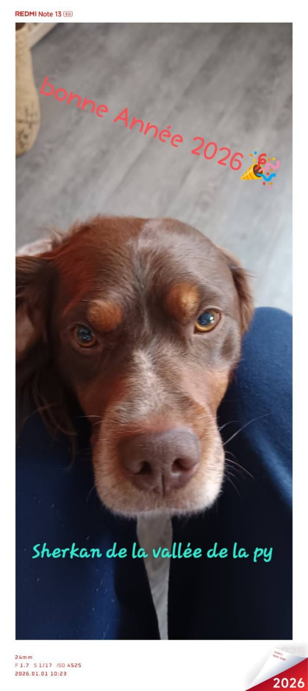 De La Vallée De La Py - Reçu des photos pour la bonne année merci