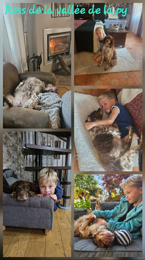 De La Vallée De La Py - Reçu des photos pour la bonne année merci