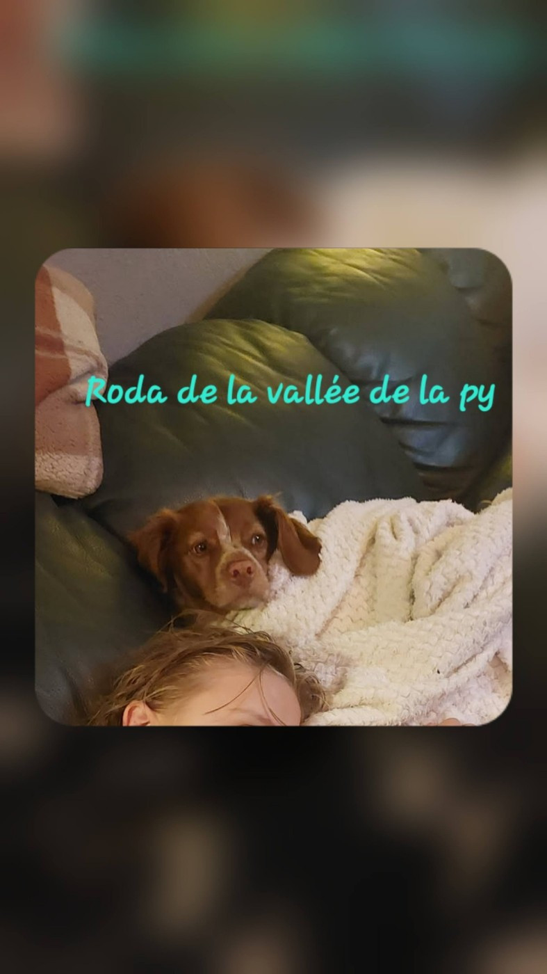 De La Vallée De La Py - Reçu des photos pour la bonne année merci