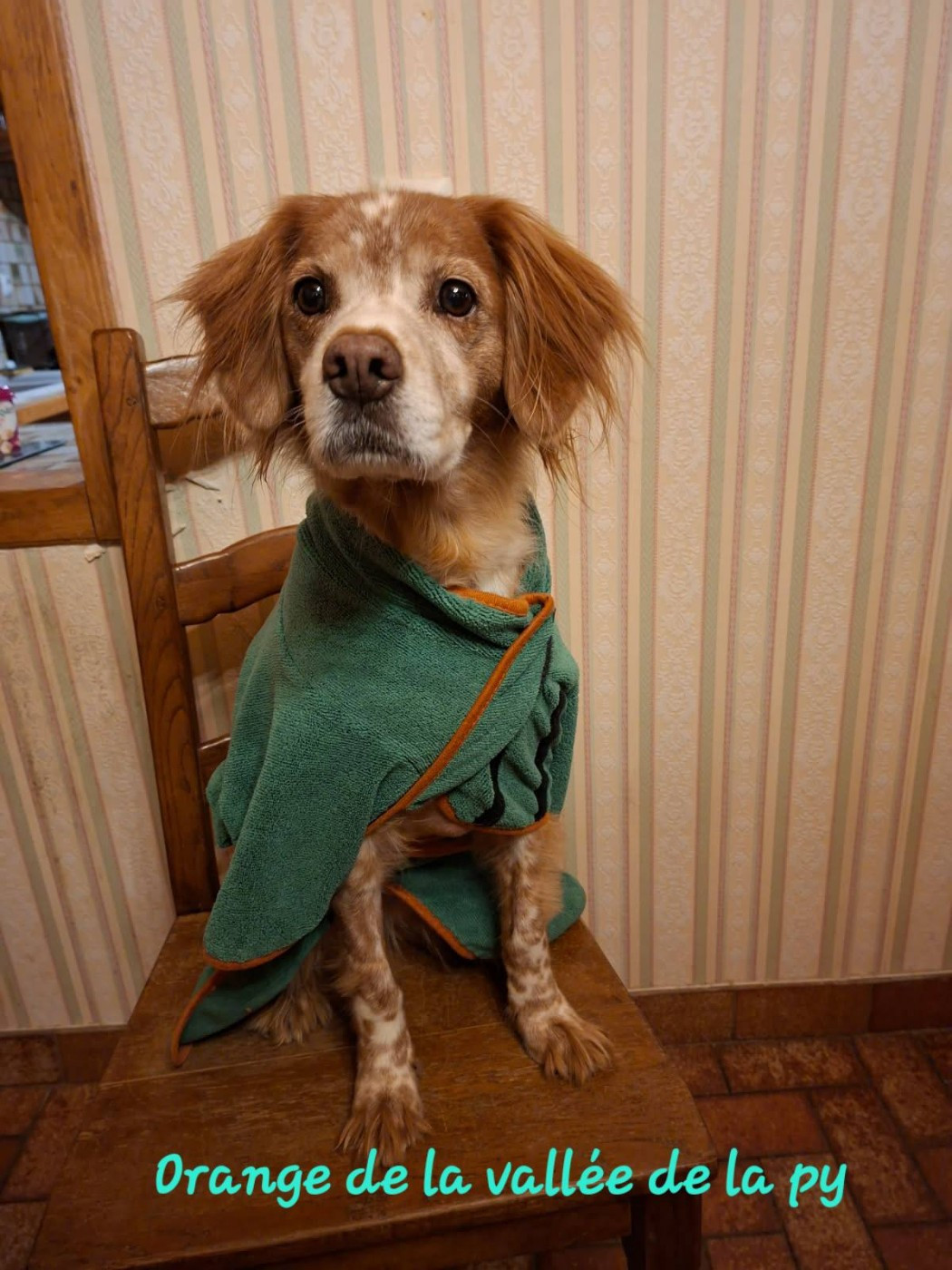 De La Vallée De La Py - Reçu des photos pour la bonne année merci