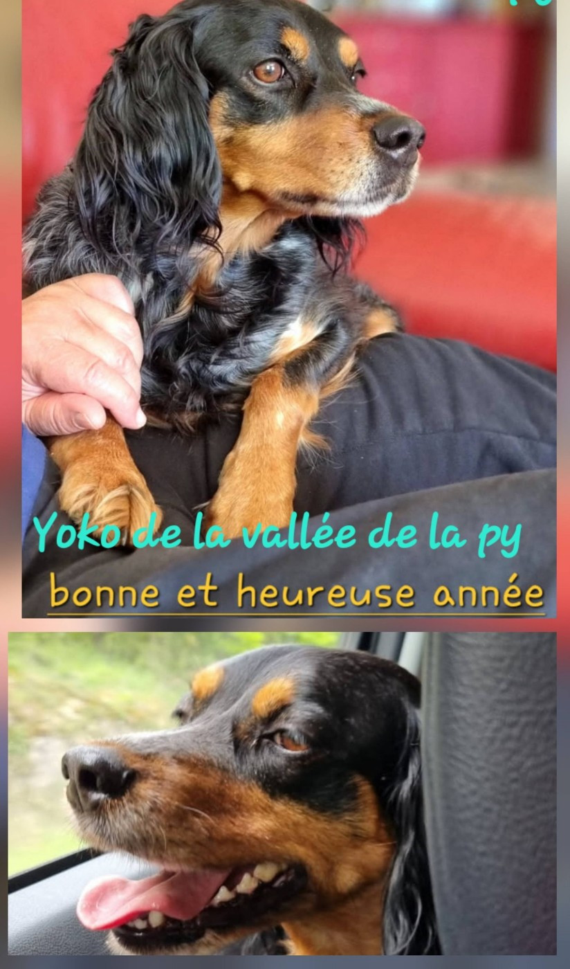 De La Vallée De La Py - Reçu des photos pour la bonne année merci