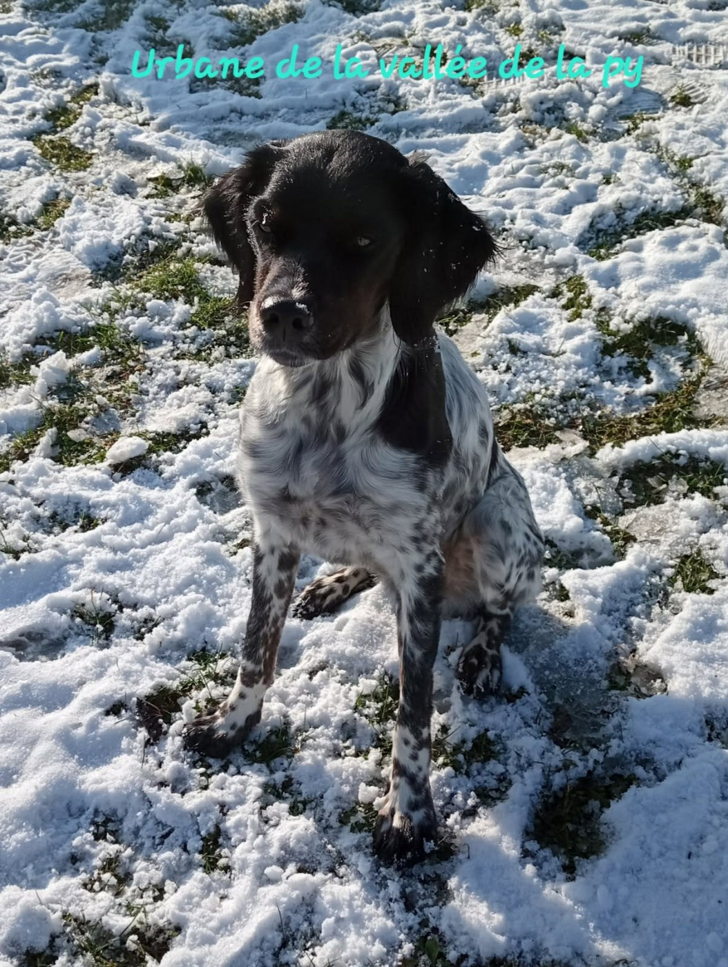 Reçu des photos pour la bonne année merci