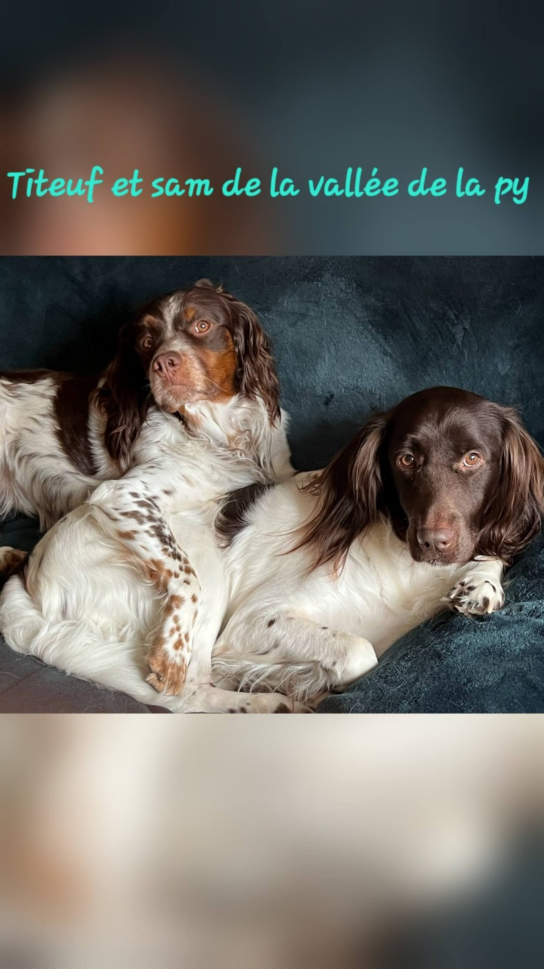 De La Vallée De La Py - Reçu des photos pour la bonne année merci