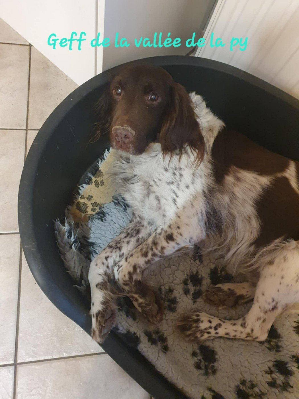 De La Vallée De La Py - Reçu des photos pour la bonne année merci