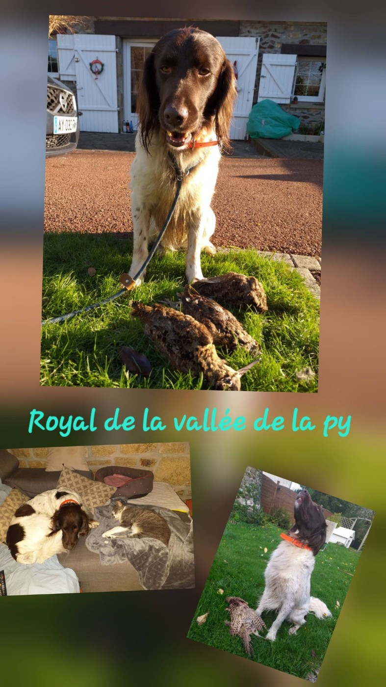 De La Vallée De La Py - Reçu des photos pour la bonne année merci