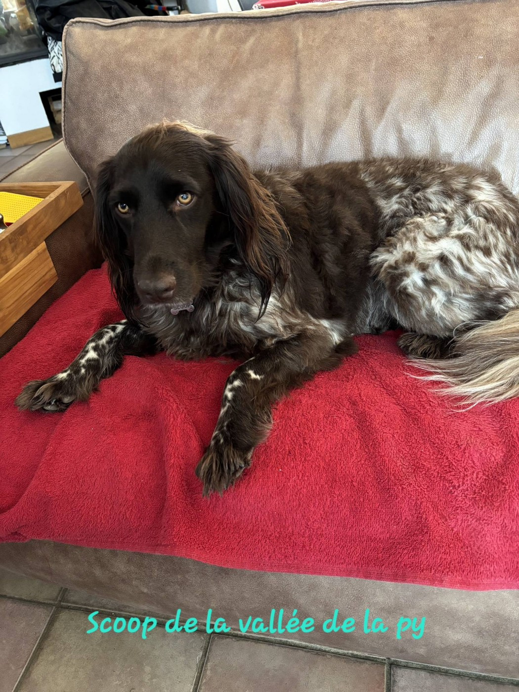 De La Vallée De La Py - Reçu des photos pour la bonne année merci