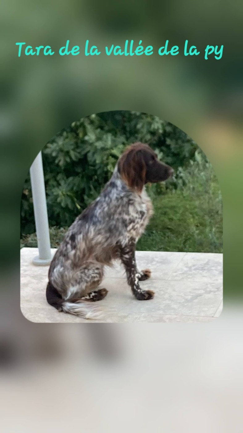 De La Vallée De La Py - Reçu des photos pour la bonne année merci