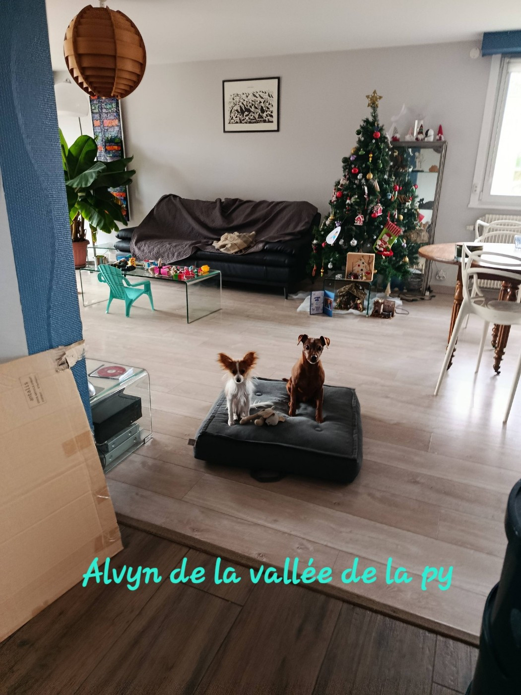 Reçu des photos pour la bonne année merci