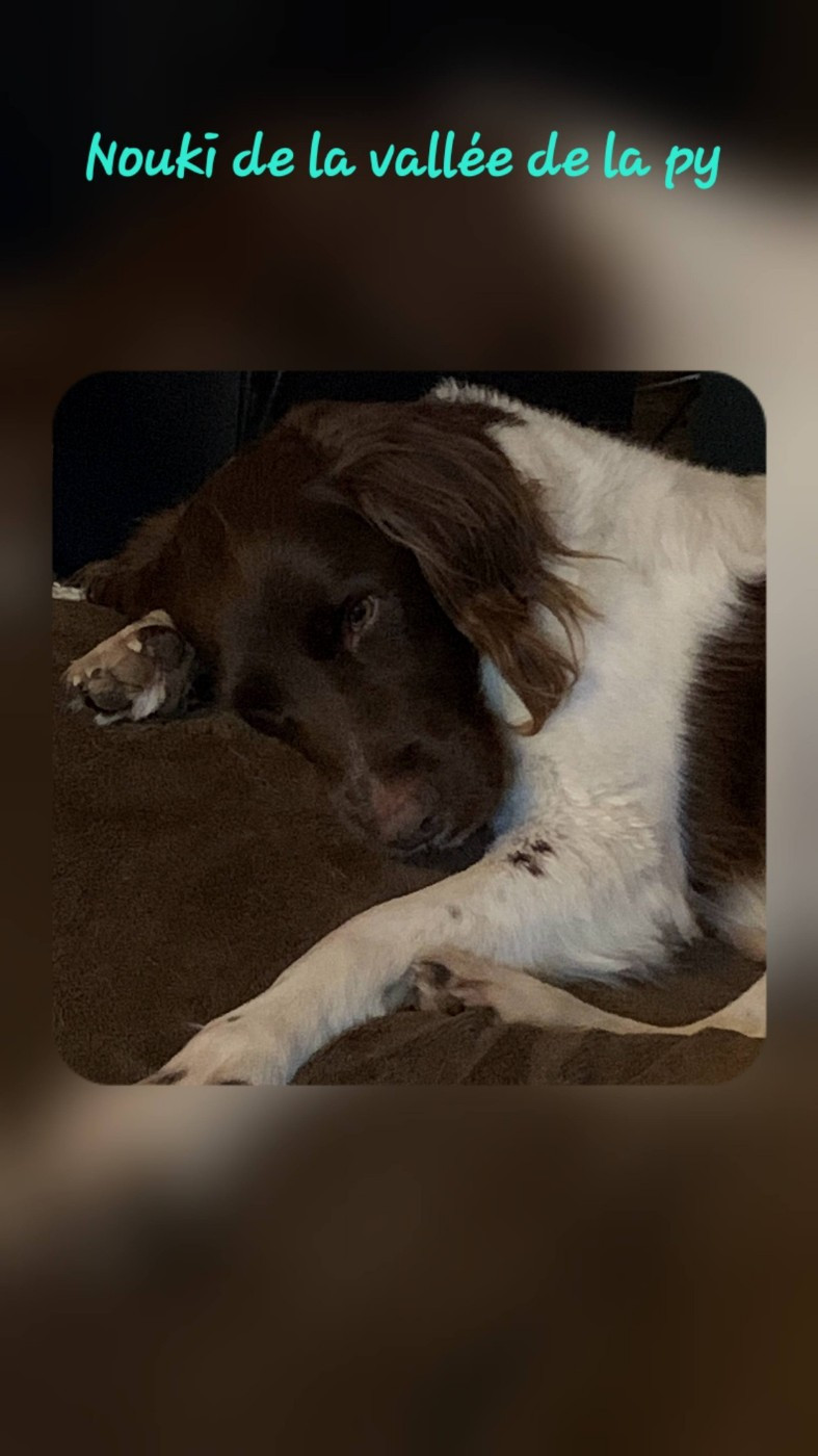 De La Vallée De La Py - Reçu des photos pour la bonne année merci