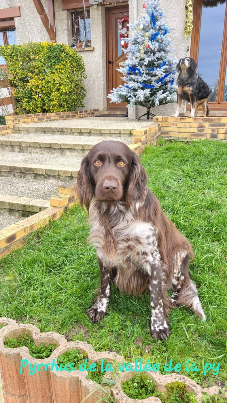 De La Vallée De La Py - Reçu des photos pour la bonne année merci