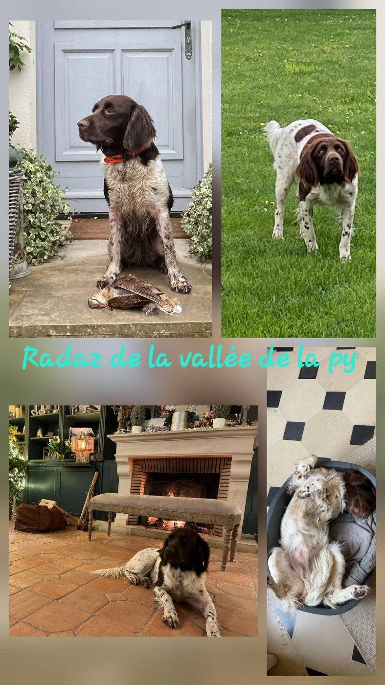 De La Vallée De La Py - Reçu des photos pour la bonne année merci