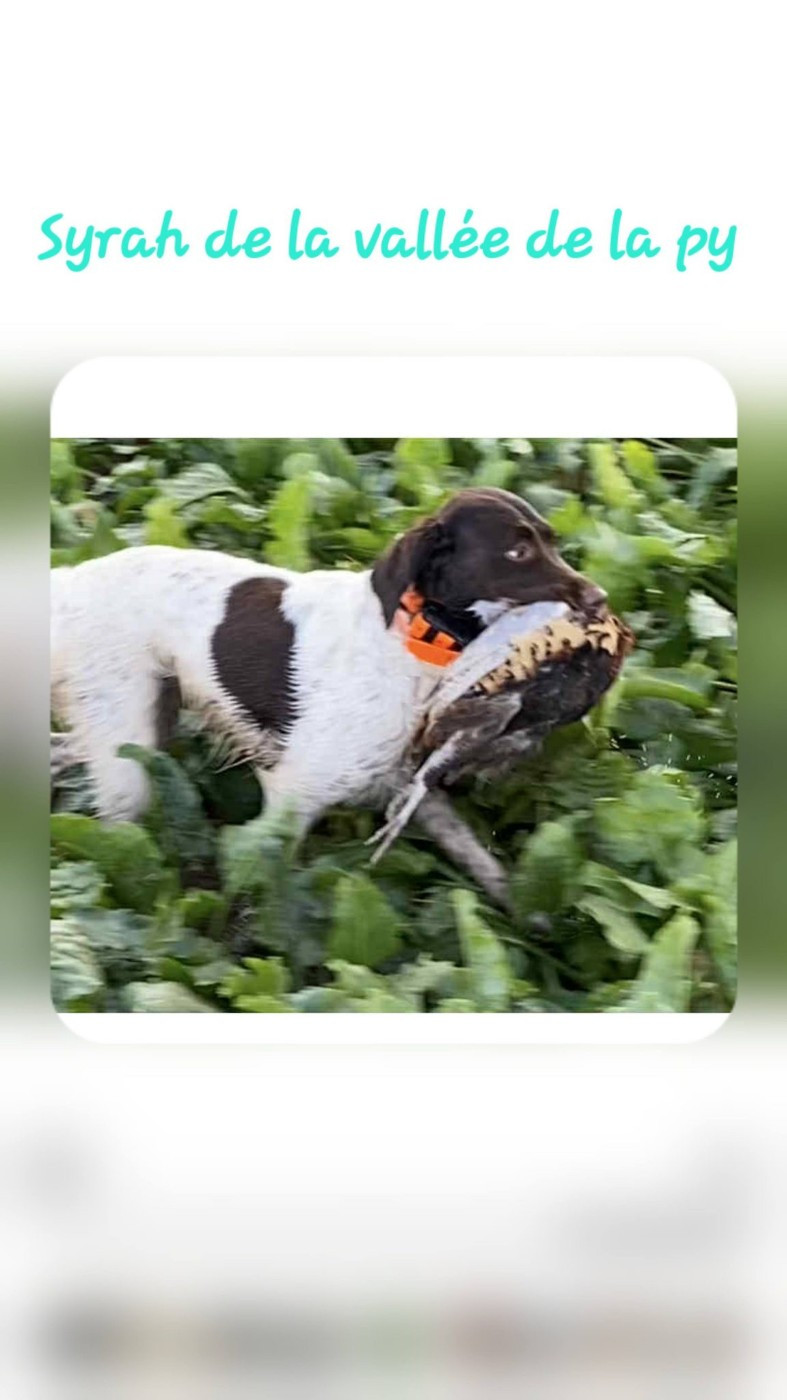De La Vallée De La Py - Reçu des photos pour la bonne année merci