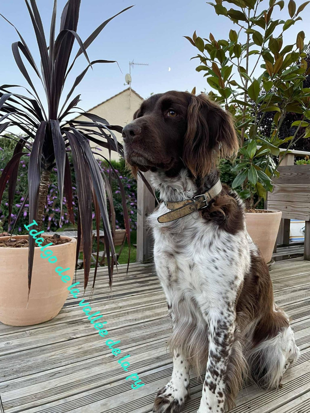 De La Vallée De La Py - Reçu des photos pour la bonne année merci