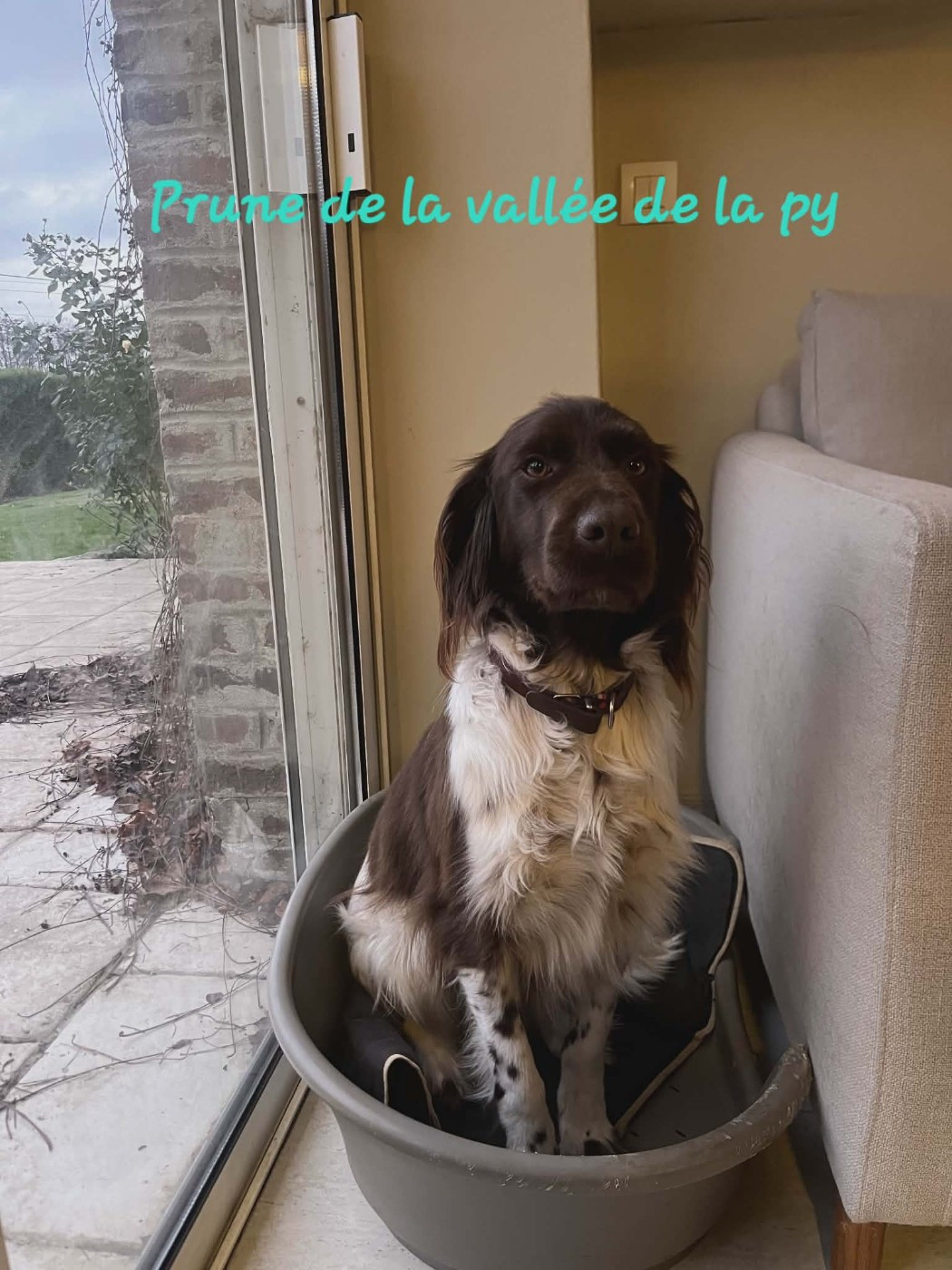 De La Vallée De La Py - Reçu des photos pour la bonne année merci