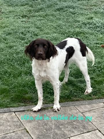 De La Vallée De La Py - Reçu des photos pour la bonne année merci