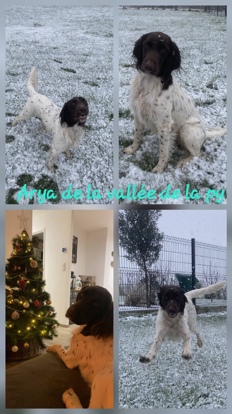 De La Vallée De La Py - Reçu des photos pour la bonne année merci