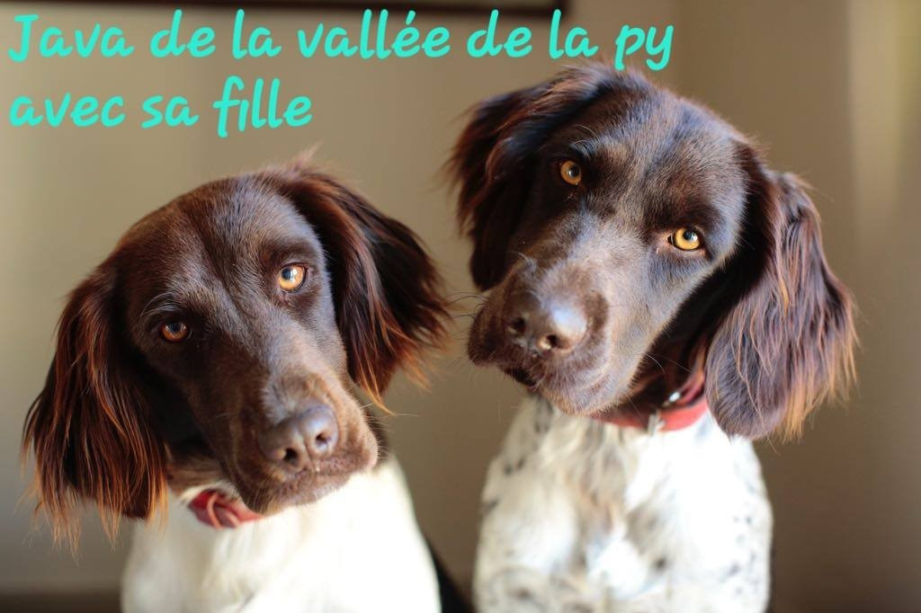 De La Vallée De La Py - Reçu des photos pour la bonne année merci