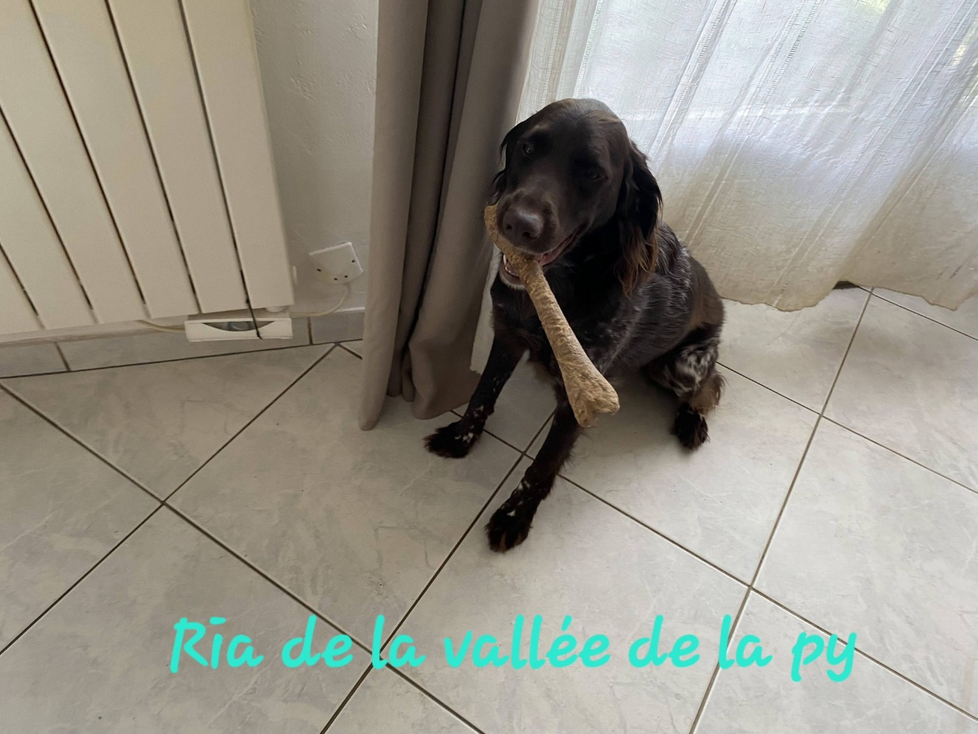 De La Vallée De La Py - Reçu des photos pour la bonne année merci