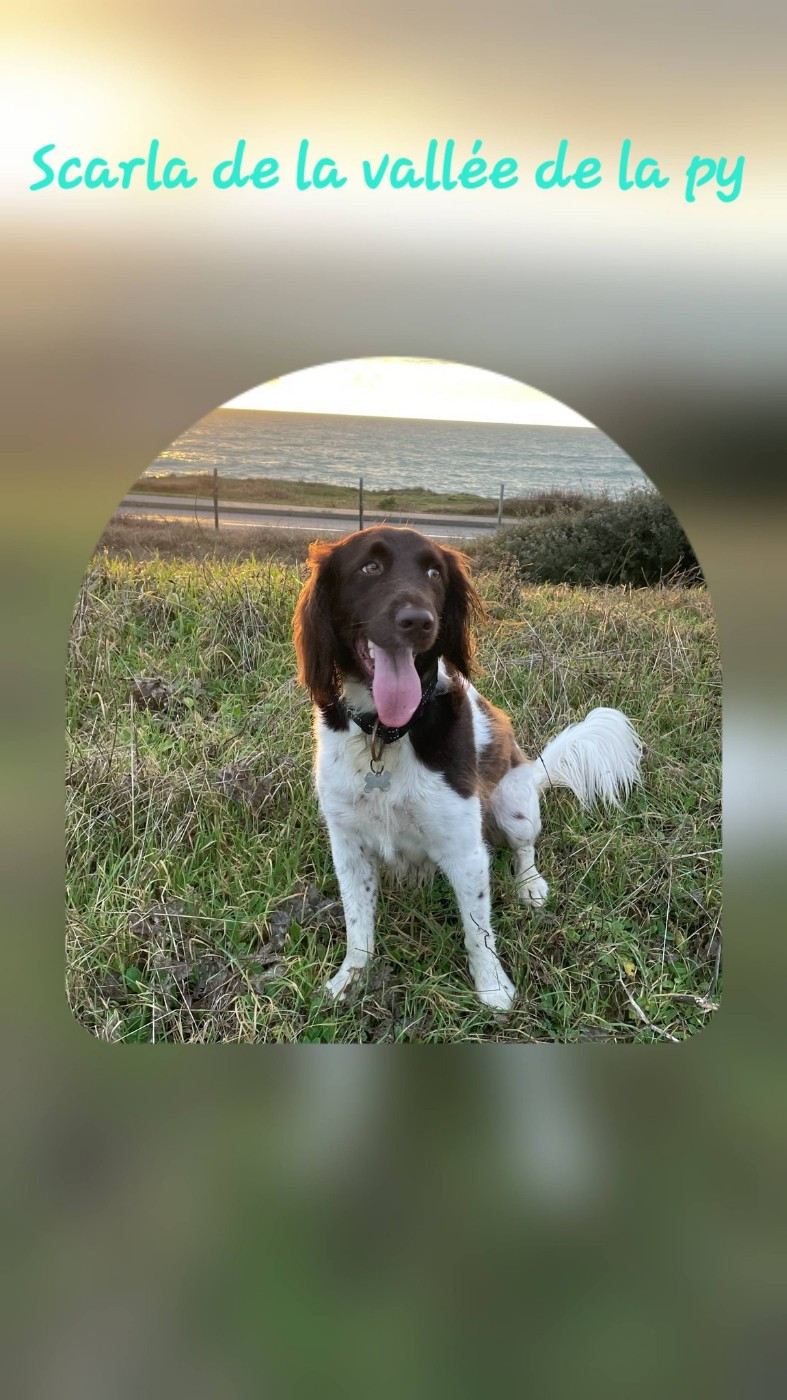 De La Vallée De La Py - Reçu des photos pour la bonne année merci