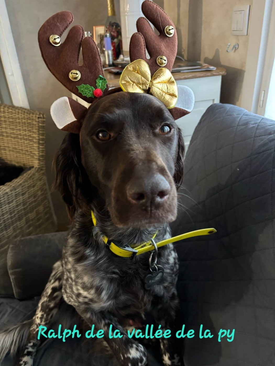 De La Vallée De La Py - Reçu des photos pour la bonne année merci