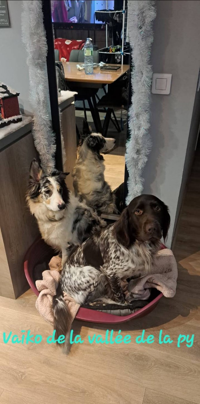 De La Vallée De La Py - Reçu des photos pour la bonne année merci