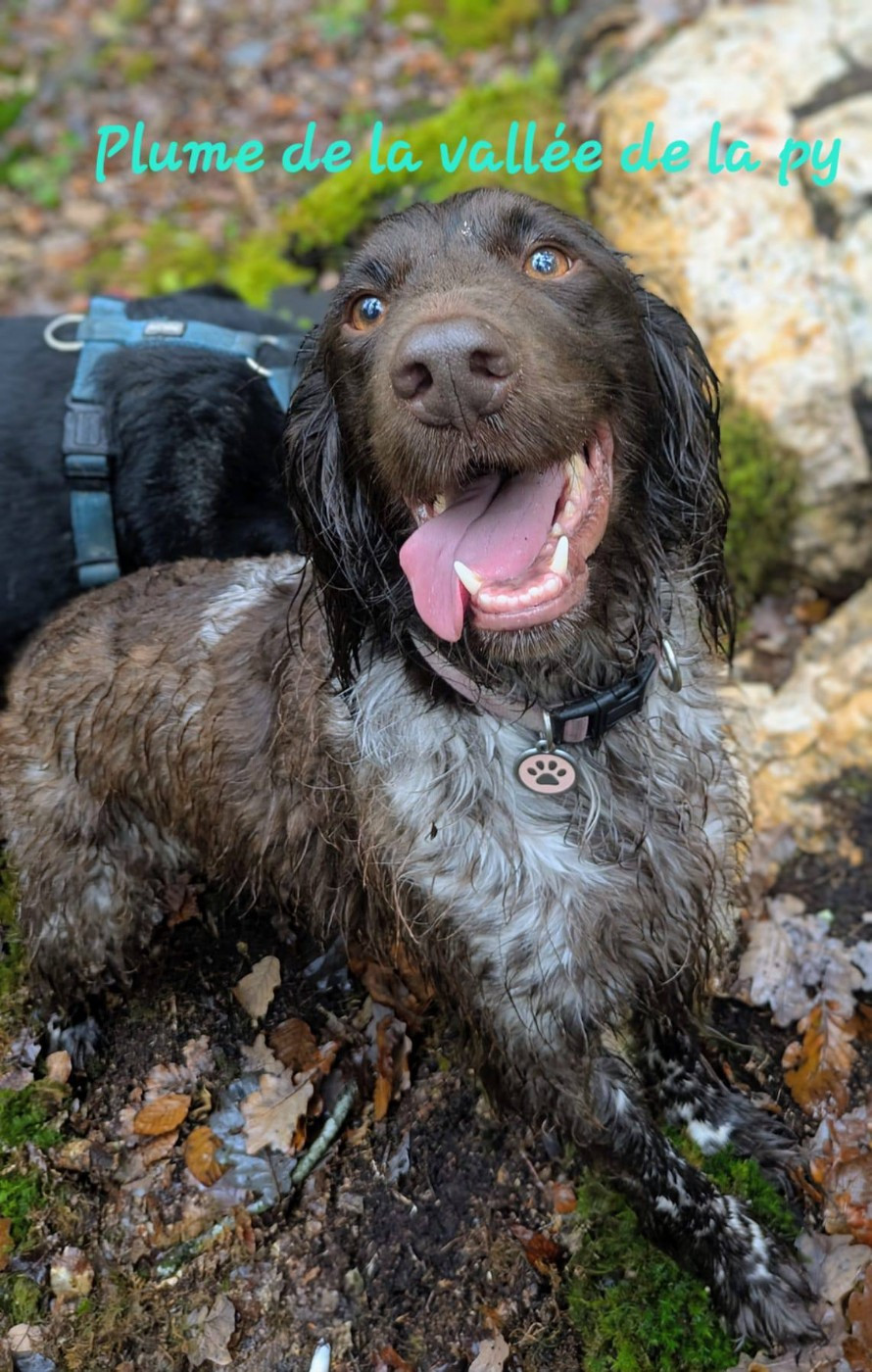 De La Vallée De La Py - Reçu des photos pour la bonne année merci