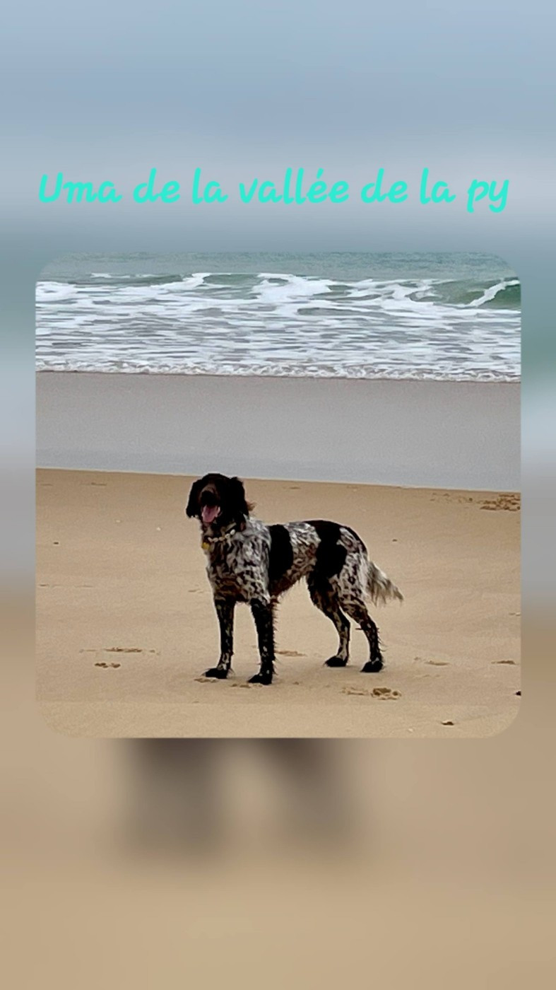 De La Vallée De La Py - Reçu des photos pour la bonne année merci