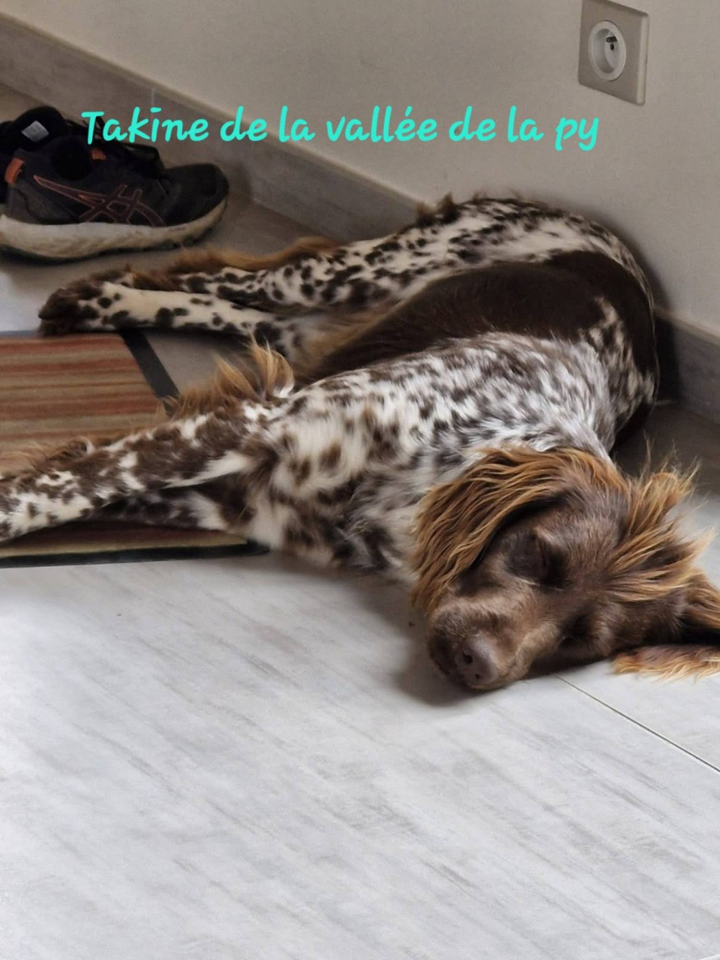 De La Vallée De La Py - Reçu des photos pour la bonne année merci