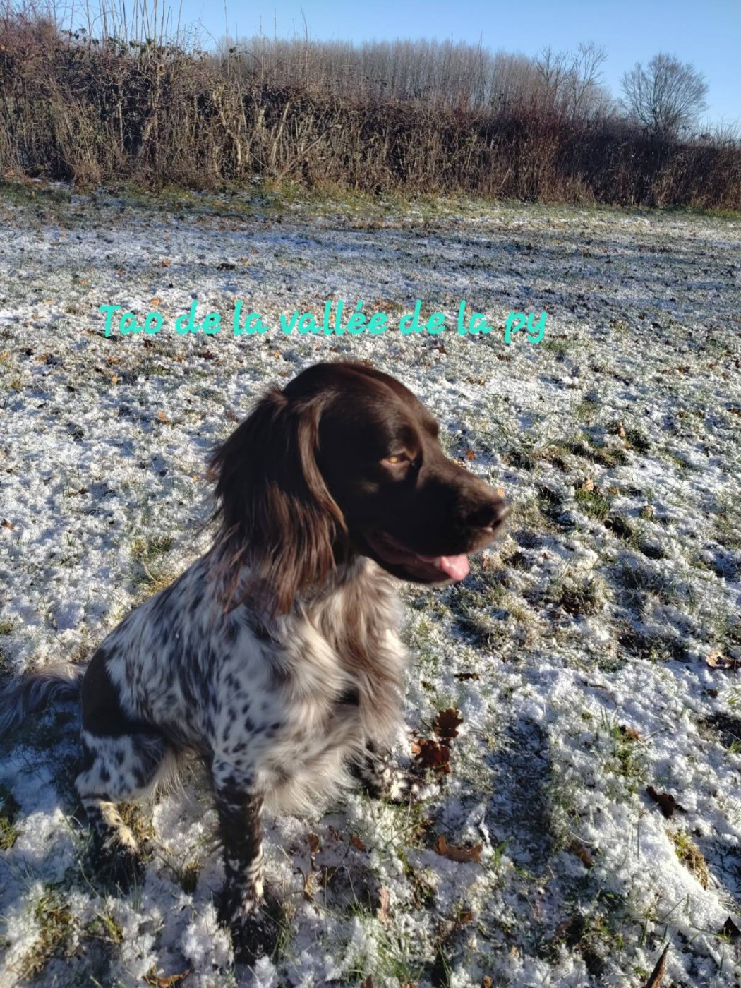 De La Vallée De La Py - Reçu des photos pour la bonne année merci