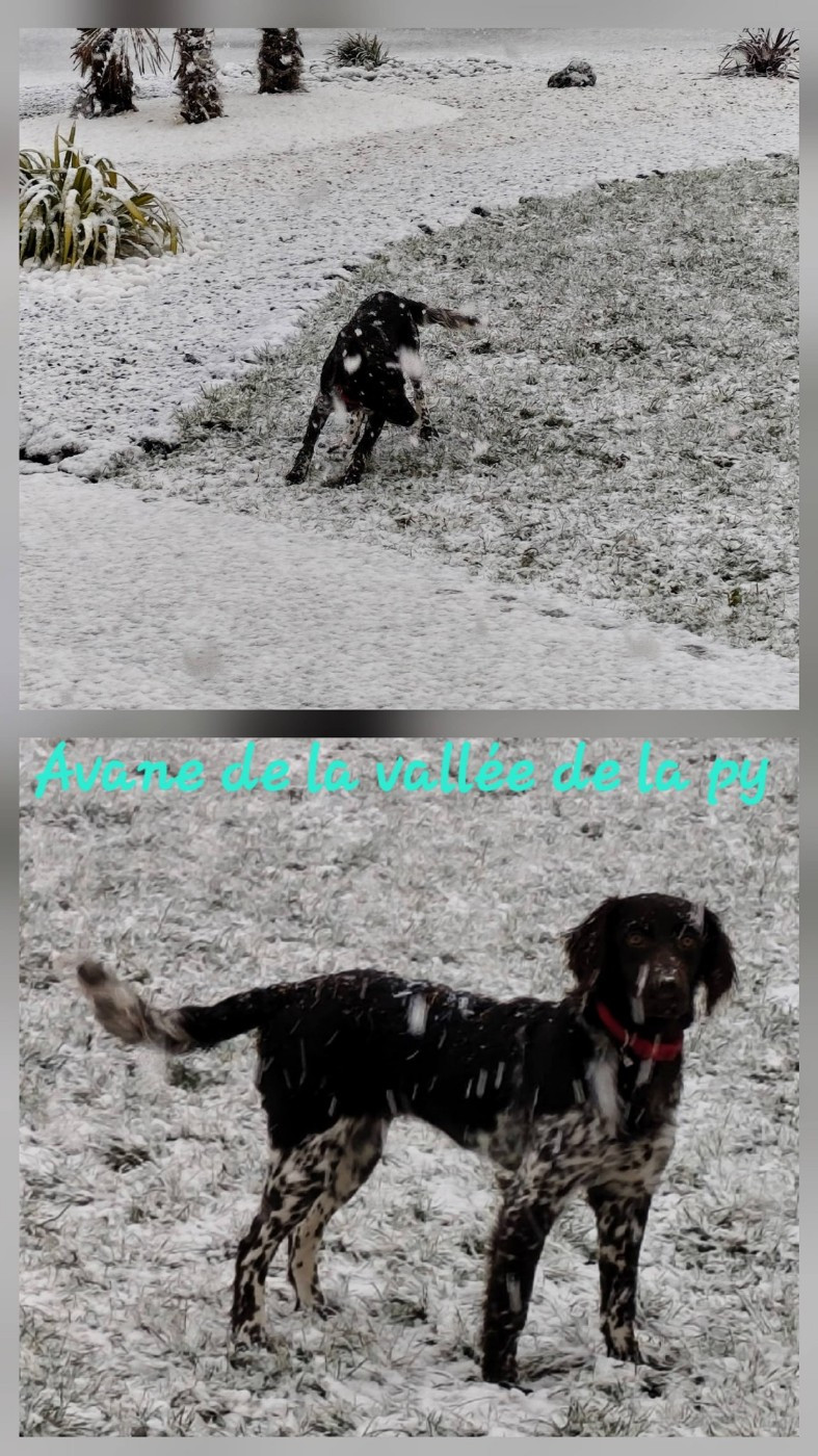 Reçu des photos pour la bonne année merci