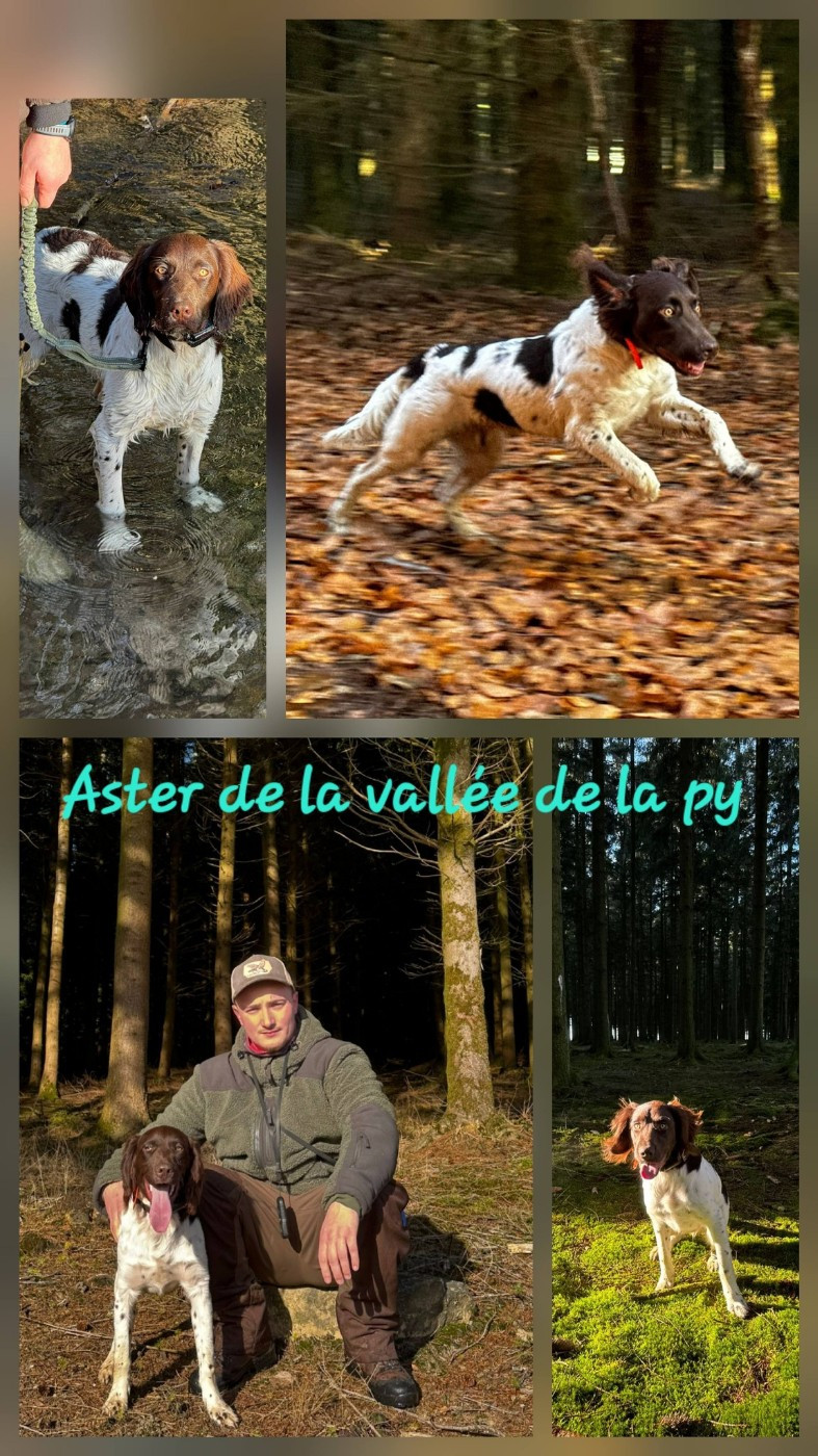 Reçu des photos pour la bonne année merci