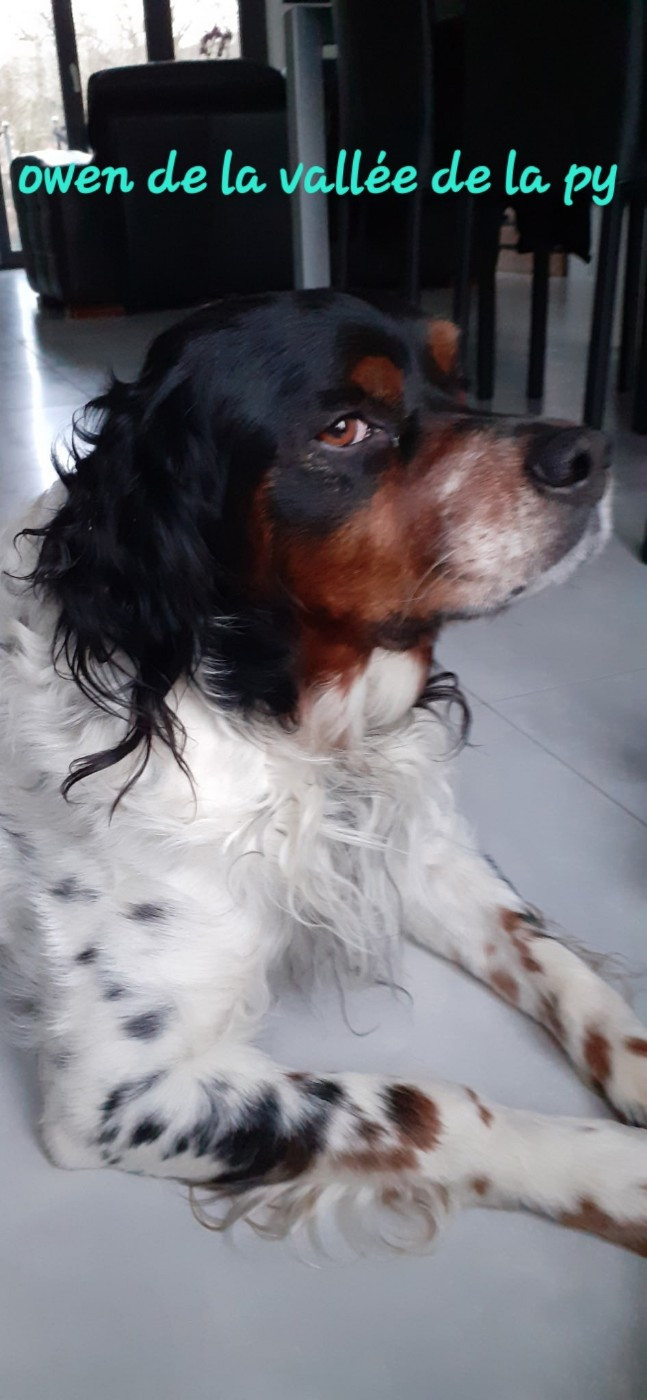 Reçu des photos pour la bonne année merci