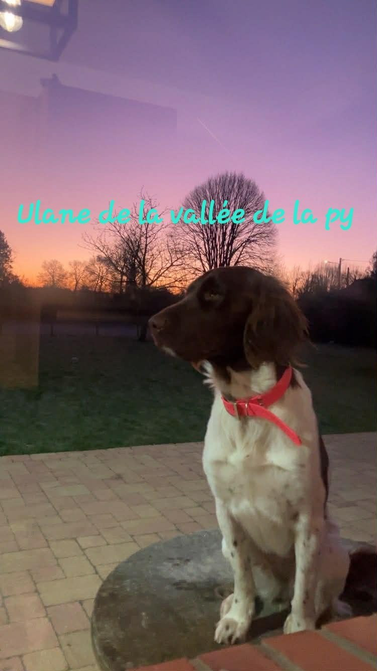 Reçu des photos pour la bonne année merci