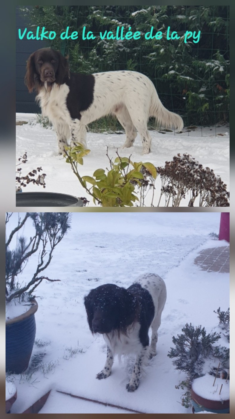 Reçu des photos pour la bonne année merci