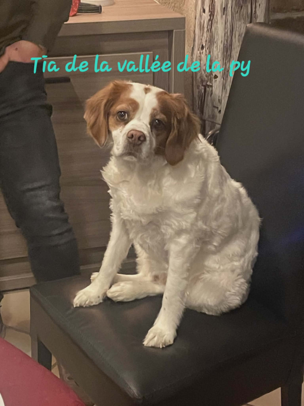 Reçu des photos pour la bonne année merci