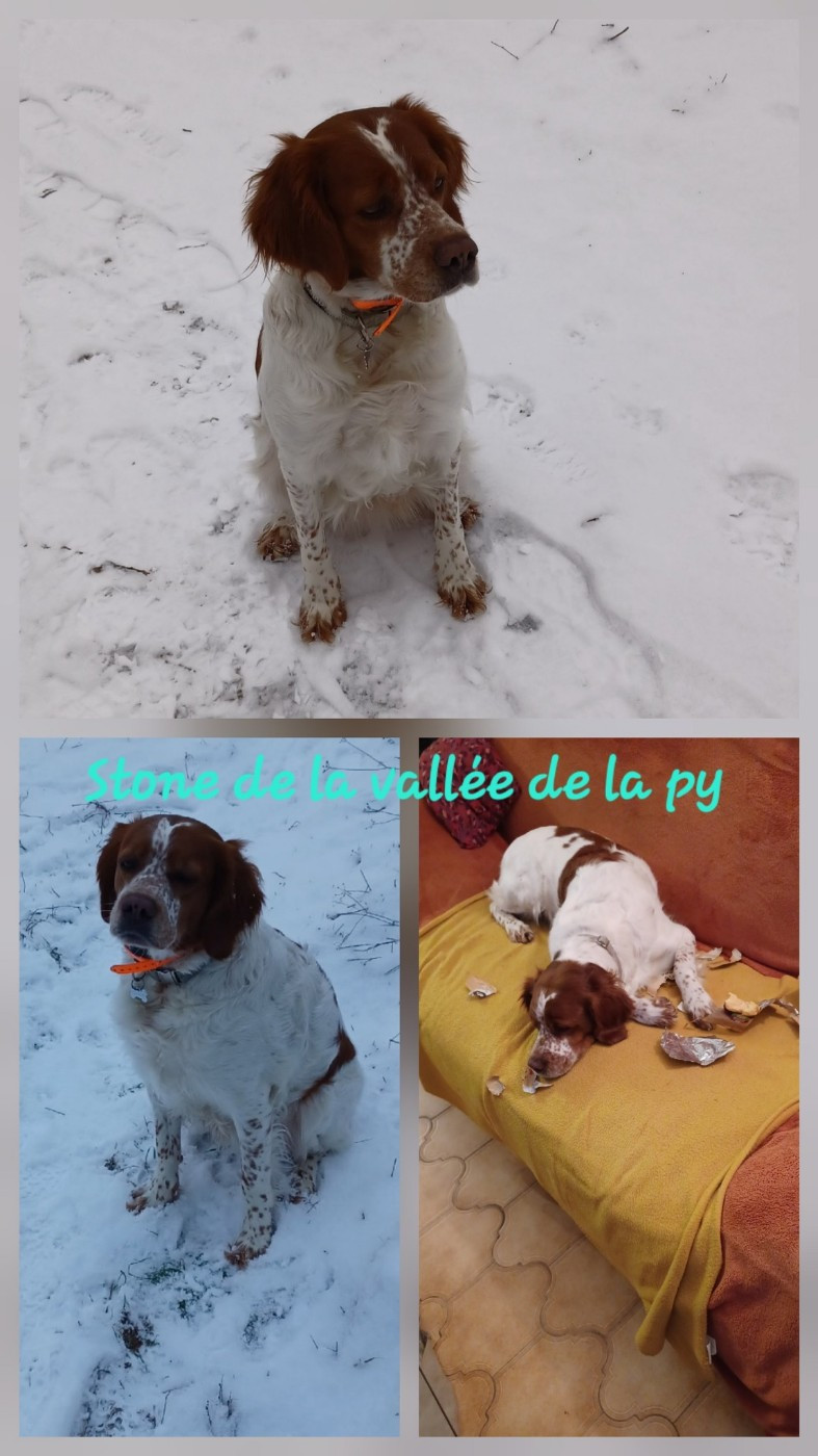 Reçu des photos pour la bonne année merci