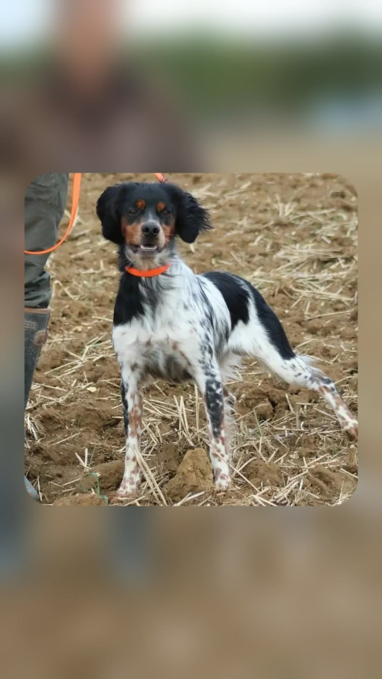 EXPOSITION A CHALONS EN CHAMPAGNE LE 31 ET LE 1 FEVRIER AVEC VIKING