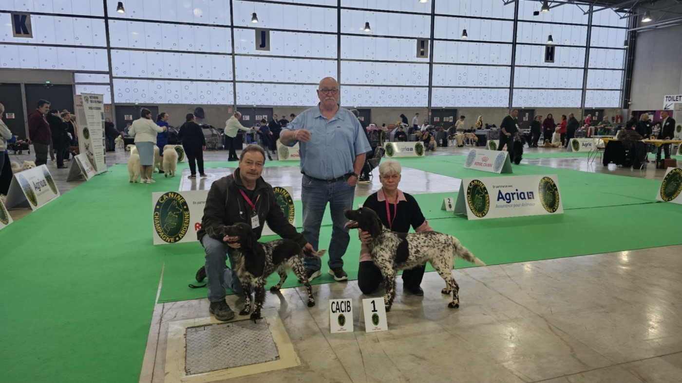 EXPOSITION A CHALONS EN CHAMPAGNE LE 31 ET LE 1 FEVRIER AVEC UDZO ET TEQUILA