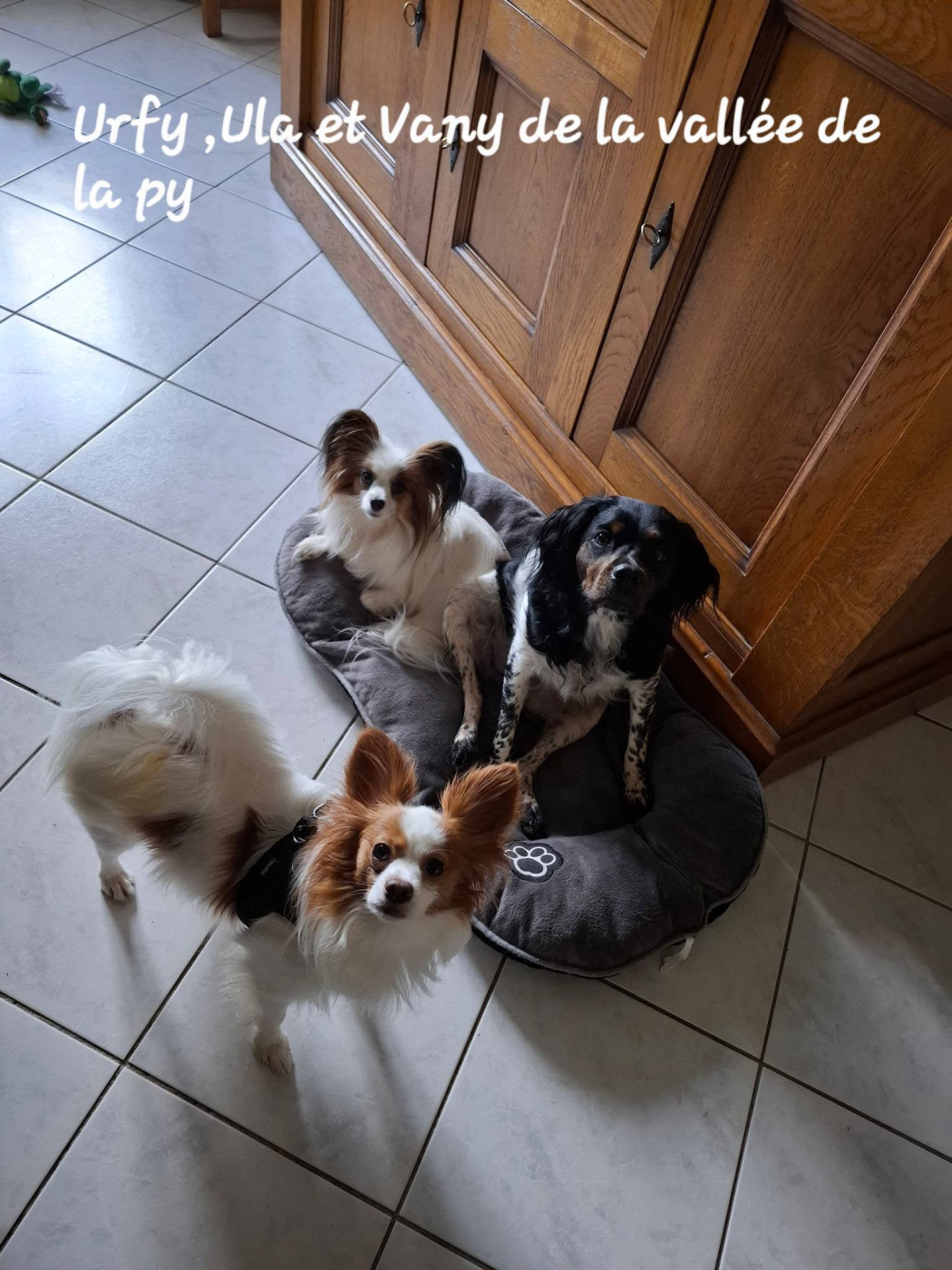 Reçu des photos Vany ,Urfy et Ula merci