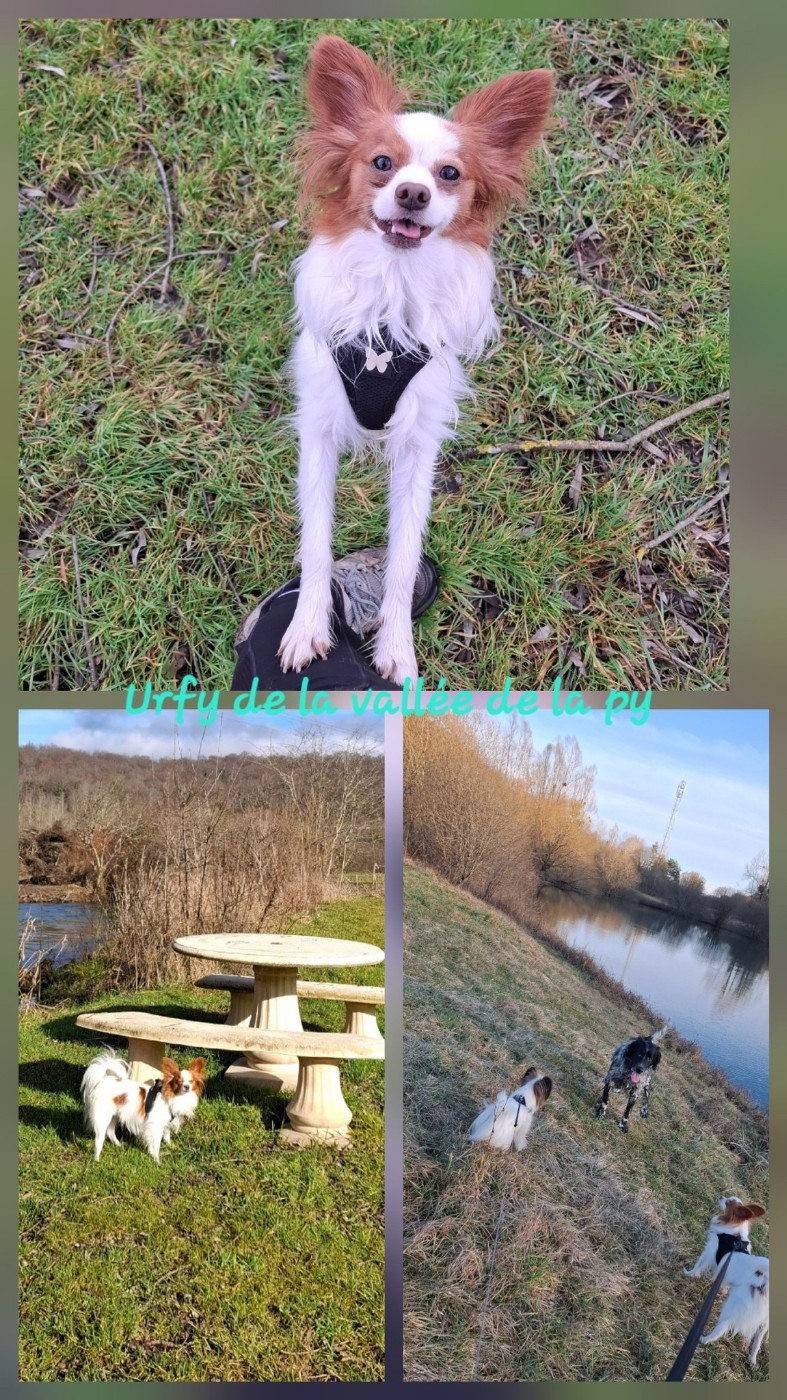 Reçu des photos de Urfy merci