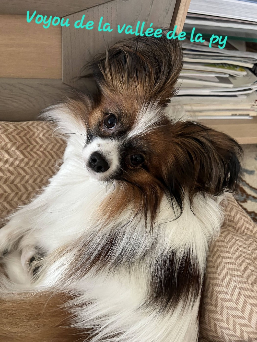 Reçu une photo de Voyou merci