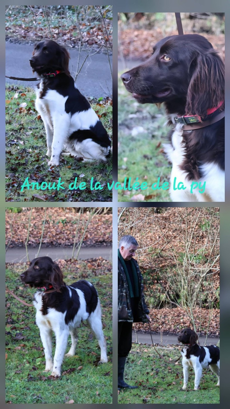 Reçu des photos de Anouk merci