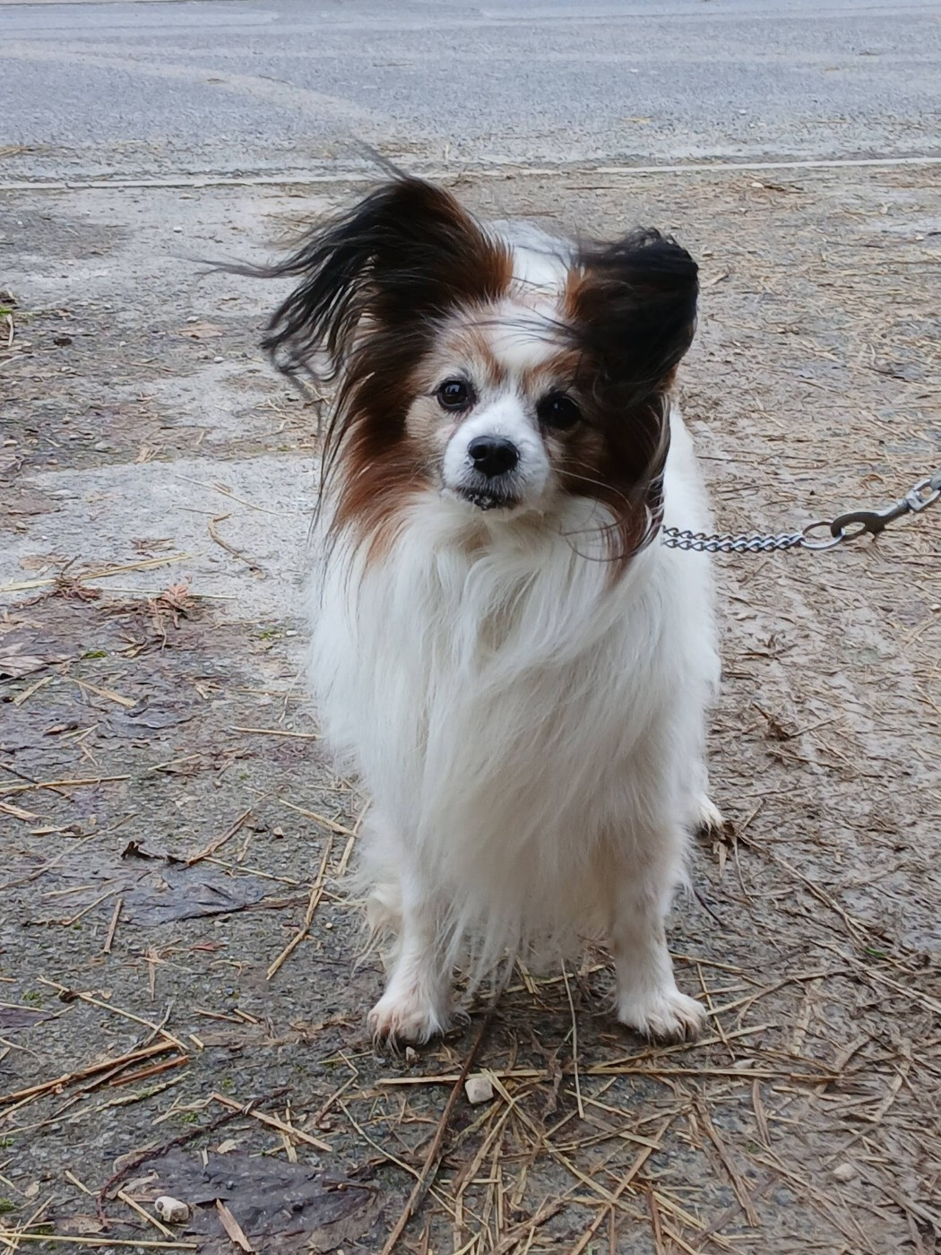 Visite de Luigi de la vallée de la py 😊