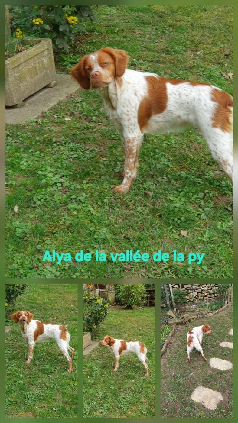 De La Vallée De La Py - Reçu des photos merci