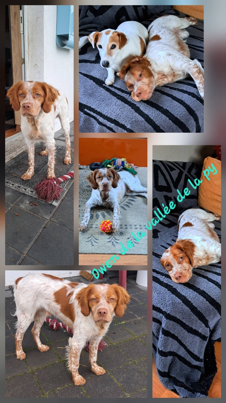 De La Vallée De La Py - Reçu des photos merci