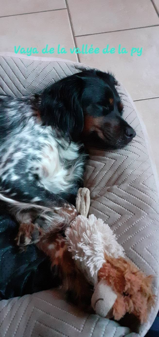 Reçu une photo merci